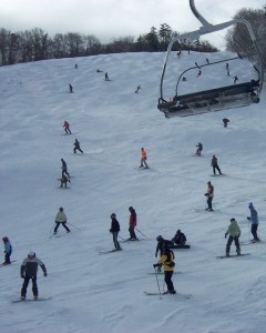 Mouse Trap & Bunny Buster