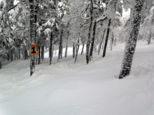 Casablanca Entrance 1